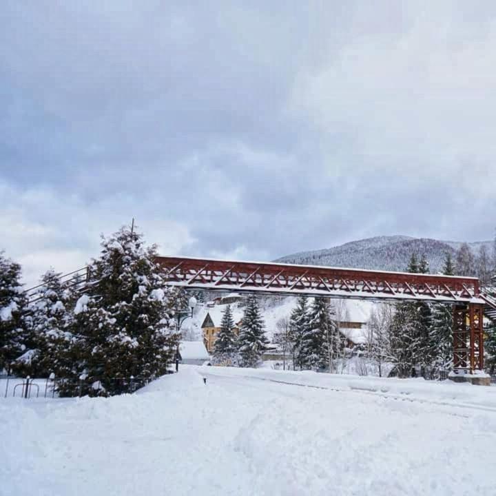 Говерлянка Villa Vorohta Exterior foto