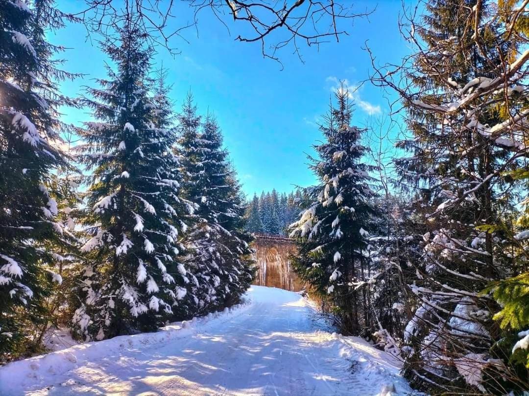 Говерлянка Villa Vorohta Exterior foto